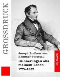 bokomslag Erinnerungen aus meinem Leben (Großdruck): 1774-1852