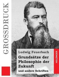 bokomslag Grundsätze der Philosophie der Zukunft (Großdruck): und andere Schriften
