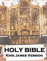 bokomslag Holy Bible