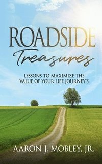 bokomslag Roadside Treasures: Lessons to maximze the value of your life's journey's