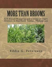 bokomslag More than Brooms: : GIS-Based Mapping and Survey of Tiger Grasses in Northern Tablas, Philippines