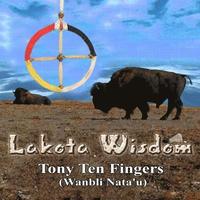 bokomslag Lakota Wisdom