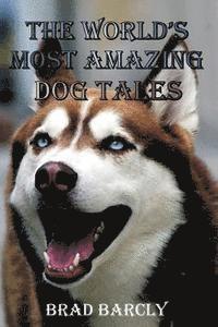 bokomslag The World's Most Amazing Dog Tales: Tear jerking, Hair Raising, Clever, Lovable, Extraordinary Anecdotes from Dog Owners