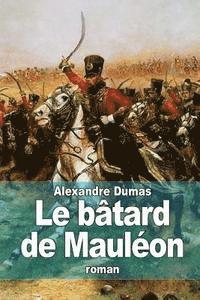 bokomslag Le bâtard de Mauléon
