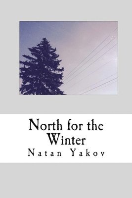 North for the Winter 1