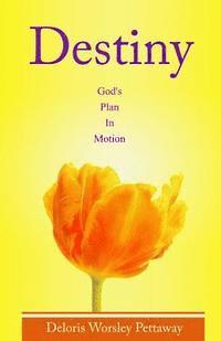 Destiny: God's Plan in Motion 1