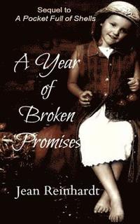 bokomslag A Year of Broken Promises