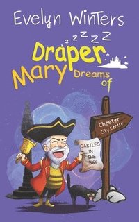 bokomslag Mary Draper Dreams of Castles in the Sky