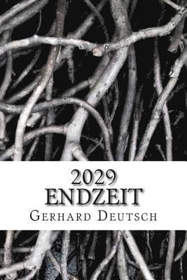 bokomslag 2029: Endzeit