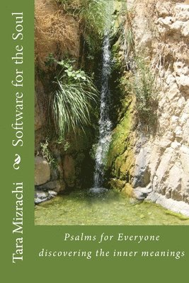 Software for the Soul: Psalms for Everyone - Discovering the Inner meanings (Easy to read edition) 1