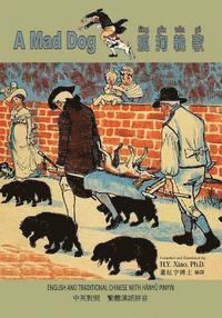 bokomslag A Mad Dog (Traditional Chinese): 04 Hanyu Pinyin Paperback Color