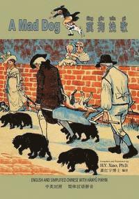 bokomslag A Mad Dog (Simplified Chinese): 05 Hanyu Pinyin Paperback Color