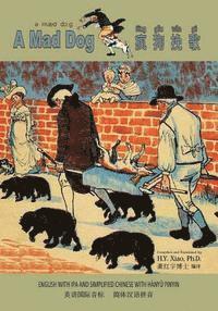bokomslag A Mad Dog (Simplified Chinese): 10 Hanyu Pinyin with IPA Paperback Color