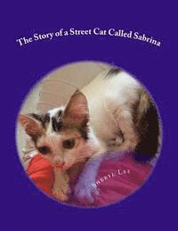 bokomslag The Story of a Street Cat Called Sabrina