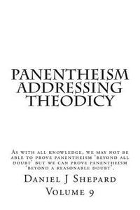 bokomslag Panentheism Addressing Theodicy