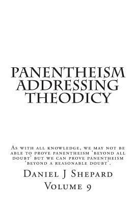 bokomslag Panentheism Addressing Theodicy