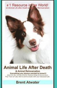 bokomslag Animal Life After Death & Animal Reincarnation: Pet Loss Answers for all your heart's Questions!