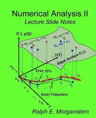 bokomslag Numerical Analysis II: Lecture Slide Notes