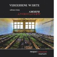 bokomslag Vergessene W.Orte: aditum trium Amorph / Sentiment