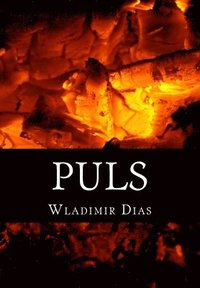 bokomslag Puls: En reise inn i ukjent