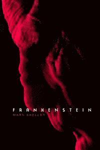 bokomslag Frankenstein: The Modern Prometheus