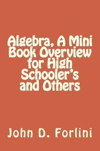 bokomslag Algebra, A Mini Book Overview for High Schooler's and Others