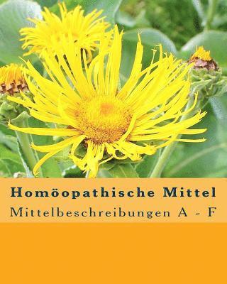 bokomslag Homöopathische Mittel: Mittelbeschreibungen A - F