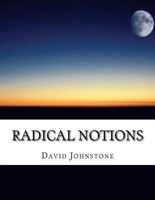 bokomslag Radical Notions: a work of imagination