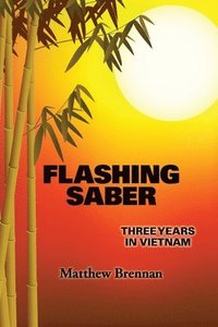 bokomslag Flashing Saber: Three Years in Vietnam