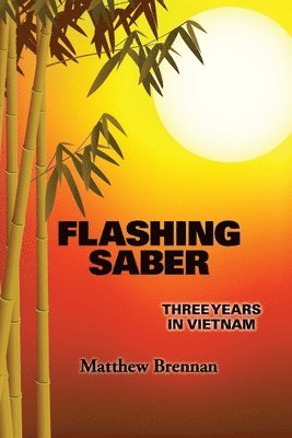 Flashing Saber: Three Years in Vietnam 1