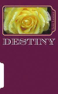 Jane Landey - Destiny, Häftad