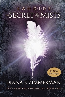 Diana S. Zimmerman - Kandide and The Secret of the Mists: Book One: The Calabiyau Chronicles, Häftad. Tillgänglighet: Lägg i varukorg