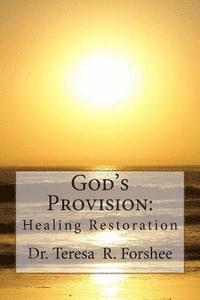 bokomslag God's Provision: Healing Restoration