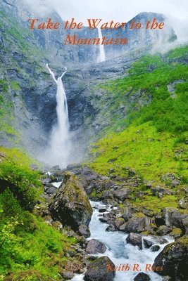 bokomslag Take the Water to the Mountain