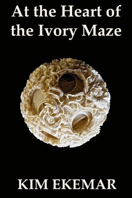 At the Heart of the Ivory Maze 1