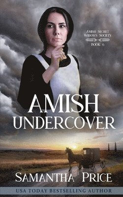 Amish Undercover 1