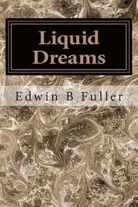 bokomslag Liquid Dreams: Thoughts and stories