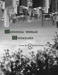 bokomslag Wandering through Wonderland
