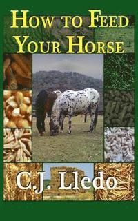 How To Feed Your Horse 1