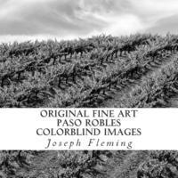 Joseph Fleming - Original Fine Art Paso Robles Colorblind Images, Häftad