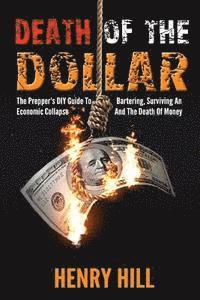 bokomslag Death Of The Dollar: How To Survive The Death Of Money And The Loss Of Paper Assets