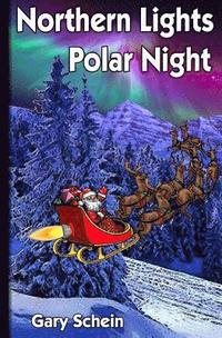 bokomslag Northern Lights Polar Night