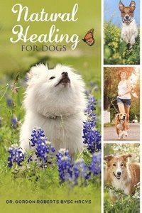 bokomslag Natural Healing for Dogs