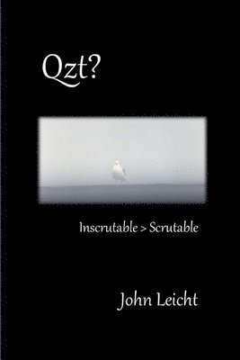 bokomslag Qzt?: Inscrutable > Scrutable