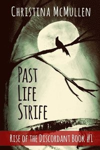 bokomslag Past Life Strife