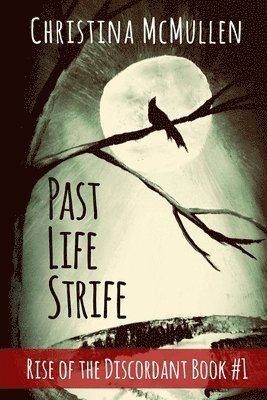 Past Life Strife 1