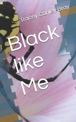bokomslag Black like Me