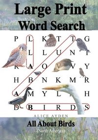 bokomslag Large Print Word Search: All About Birds (North America)