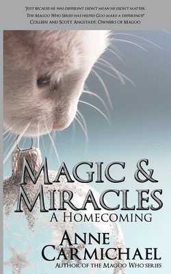 bokomslag Magic & Miracles: A Homecoming