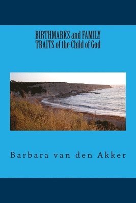 bokomslag BIRTHMARKS and FAMILY TRAITS of the Child of God